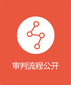审判流程