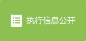 执行信息